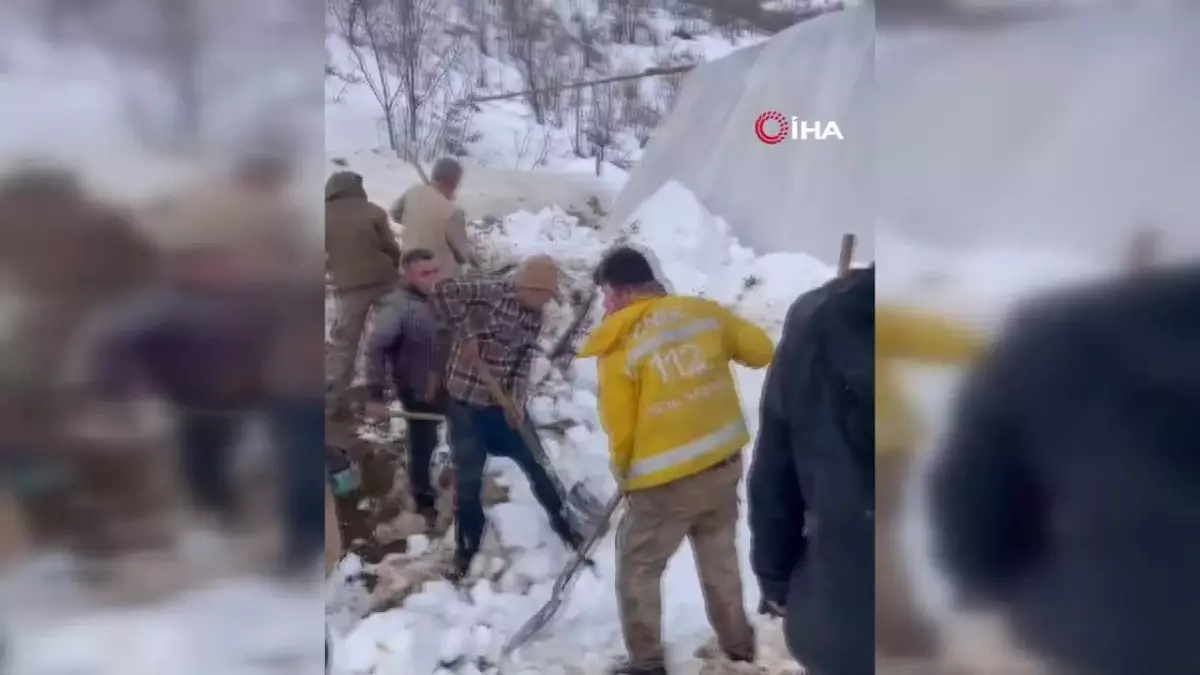 Şemdinli'de kardan çöken ahırda 7 küçükbaş hayvan telef oldu