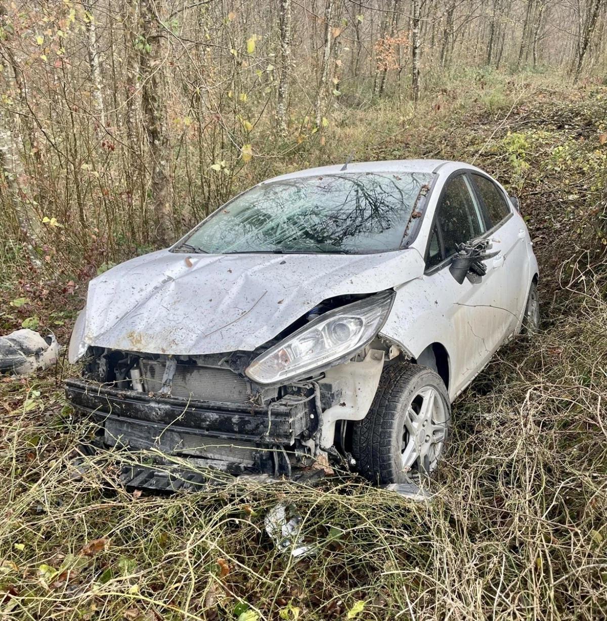 Sinop\'ta otomobilin ormanlık alana devrildiği kazada sürücü yaralandı