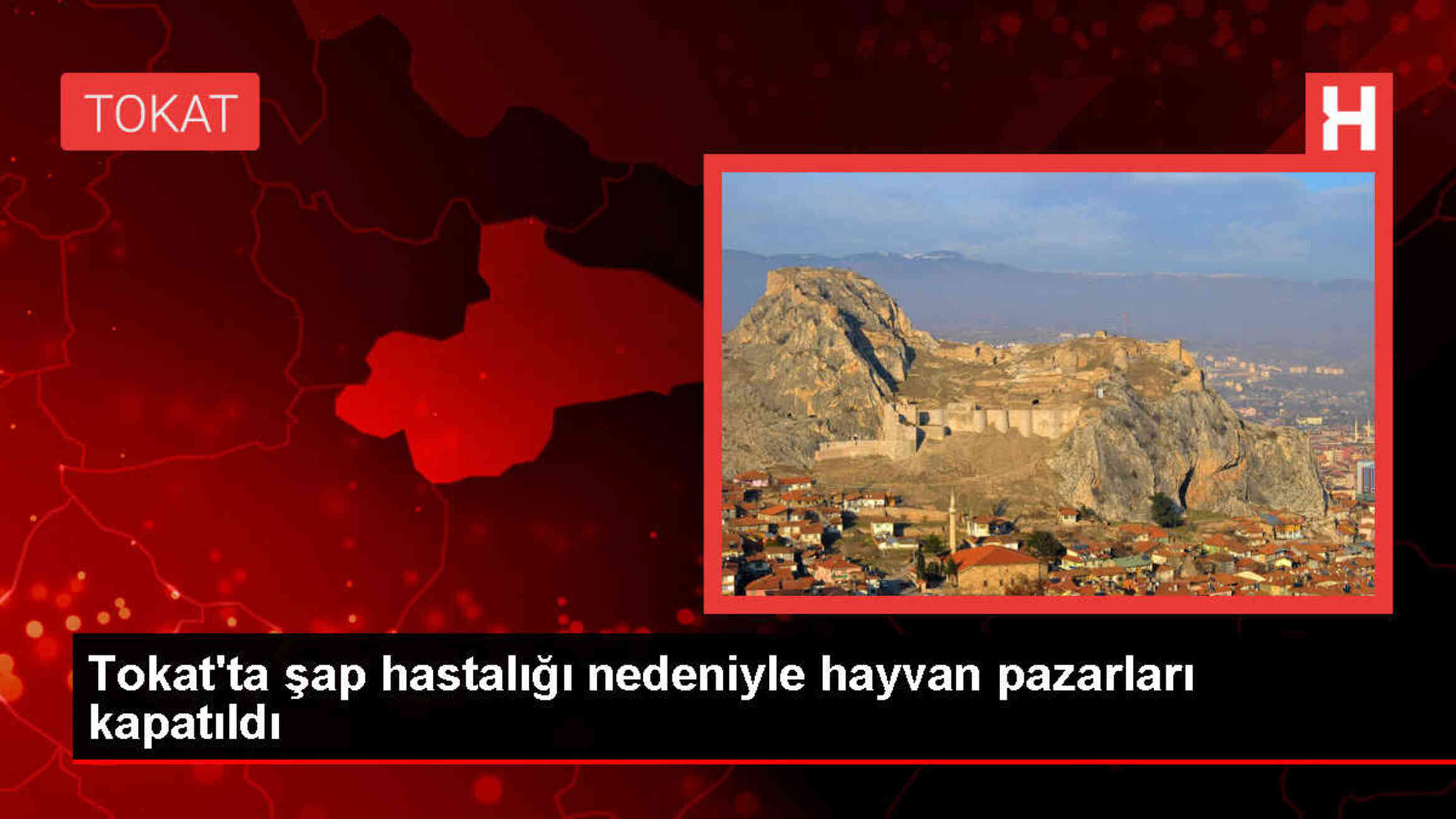 Tokat'ta şap hastalığı nedeniyle hayvan pazarları geçici olarak kapatıldı