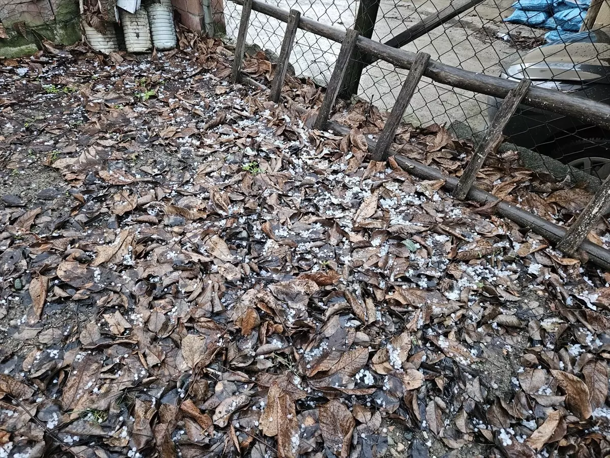 Çorum'un Bayat ilçesinde dolu yağışı etkili oldu