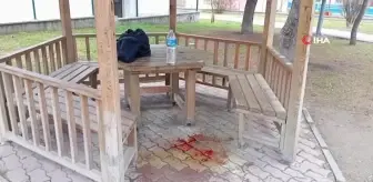 Çocuk parkında çıkan kavga kanlı bitti