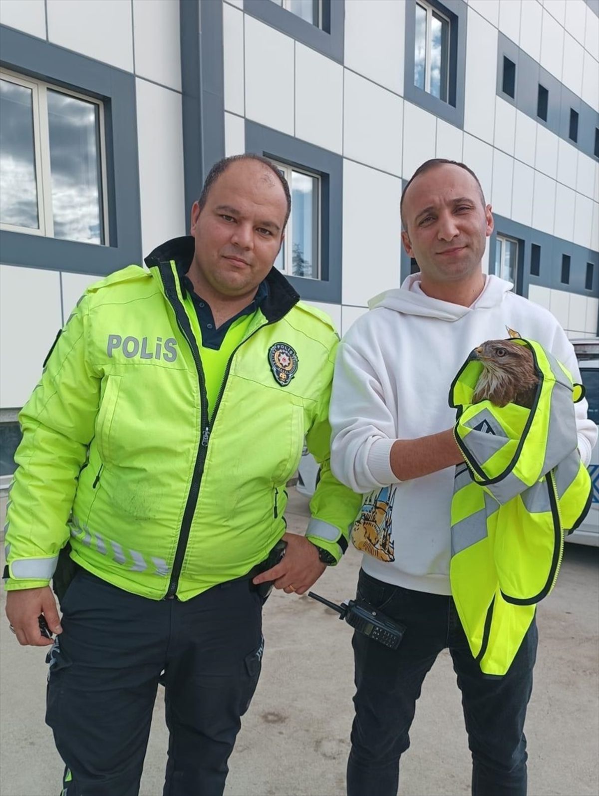 Edirne\'de yaralı bulunan atmaca polis tarafından koruma altına alındı