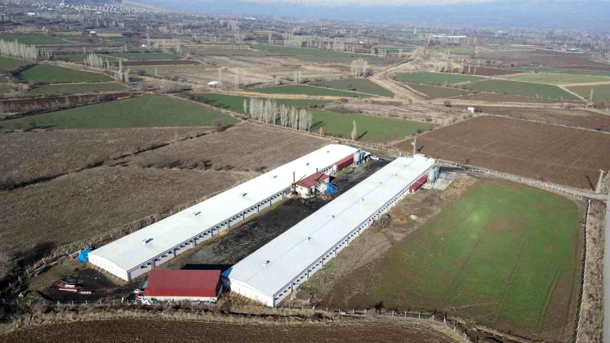 Erzincan\'da Tavuk Çiftliği Kapasitesi Arttı