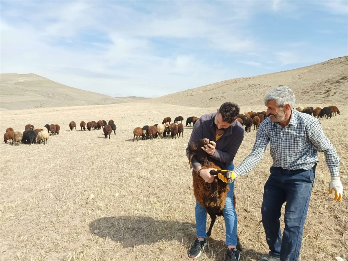 Erzurum\'da Köyden Kente Göçü Önlemek İçin Proje Başladı