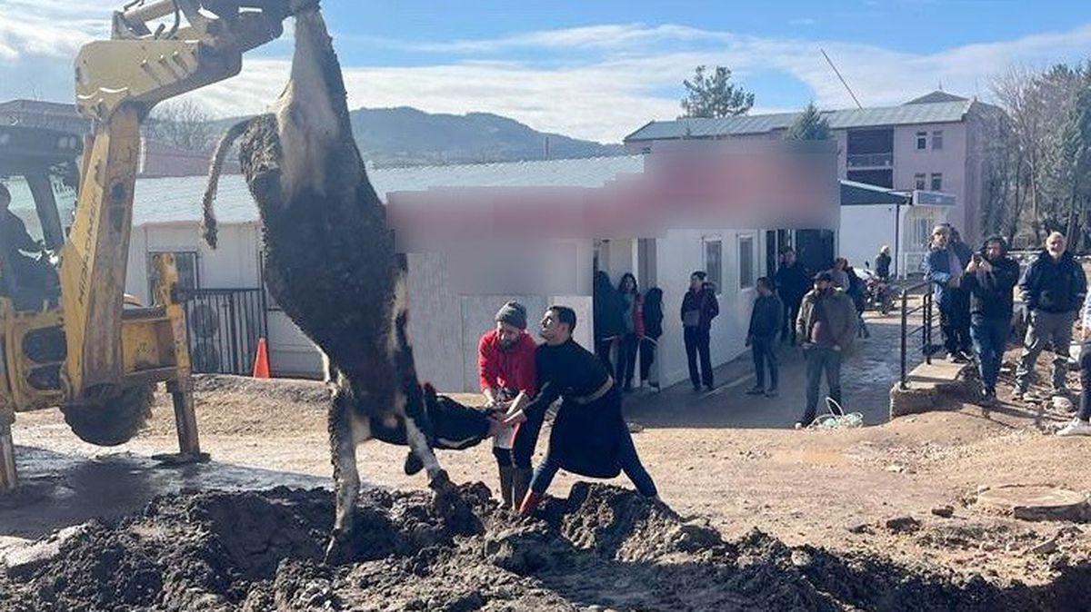 Esnaf ve çiftçiler, banka müdürünün tayininin çıkmasını tosun keserek kutladı