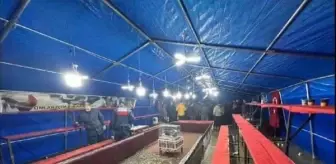 Muğla'da horoz dövüştürenlere ceza kesildi