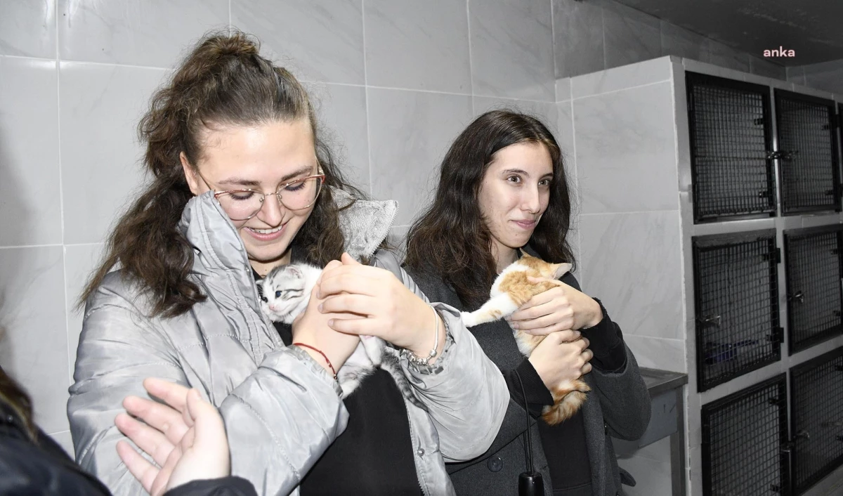 Kuşadası Evcil Hayvan Rehabilitasyon Merkezi, Derici Mustafa Gürbüz Anadolu Lisesi öğrencilerini ağırladı