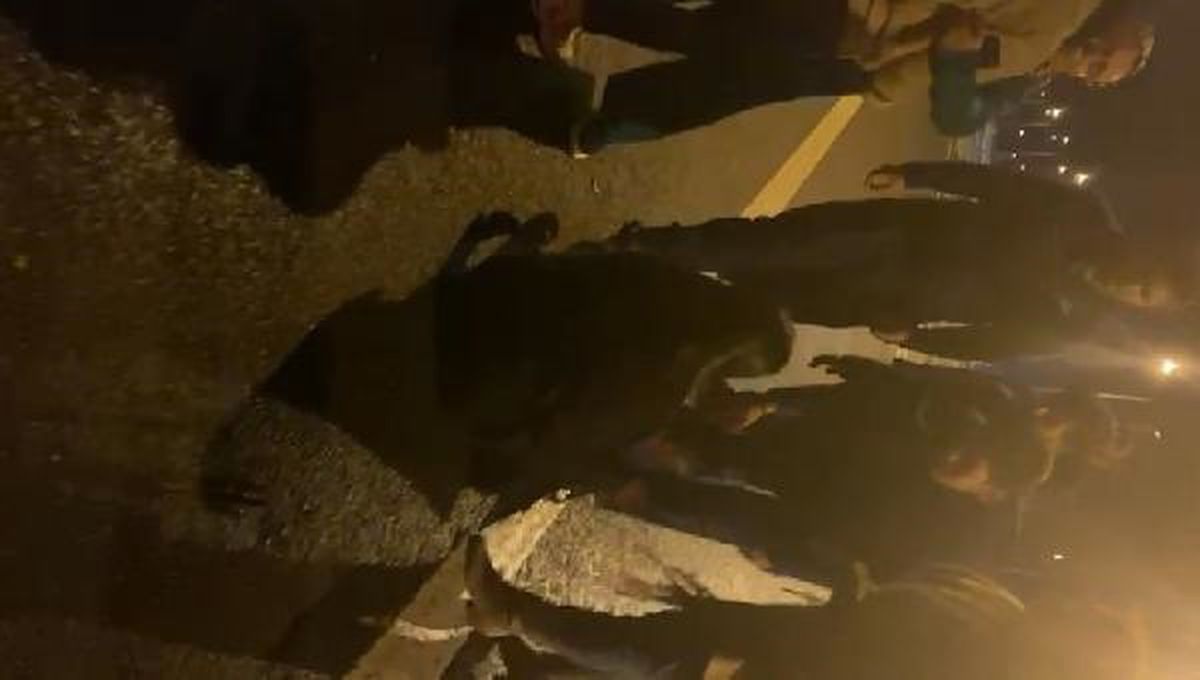 İstanbul-Ankara yolcu otobüsünde şoför ve muavin arasında kavga çıktı
