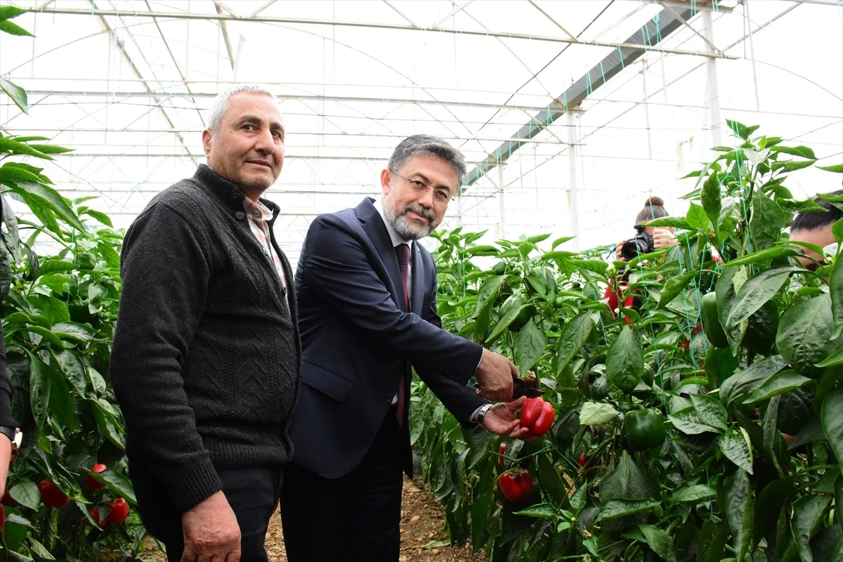 Tarım ve Orman Bakanı: Türkiye\'nin tohum firmaları dünyayla boy ölçüşecek konuma geldi
