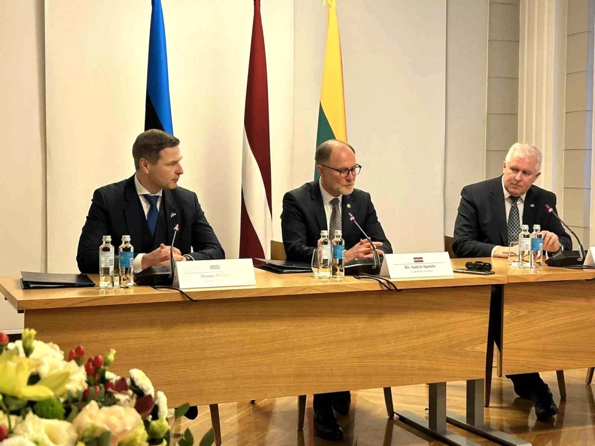 Baltık Ülkeleri, Rusya ve Belarus Sınırlarına Savunma Sistemleri İnşa Edecek