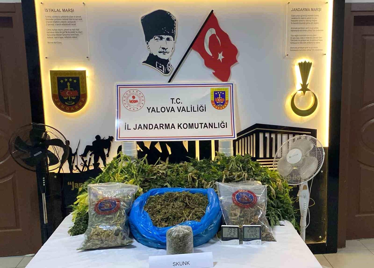Yalova\'da Uyuşturucu Üretimi Yapılan Villaya Operasyon: 2 Gözaltı