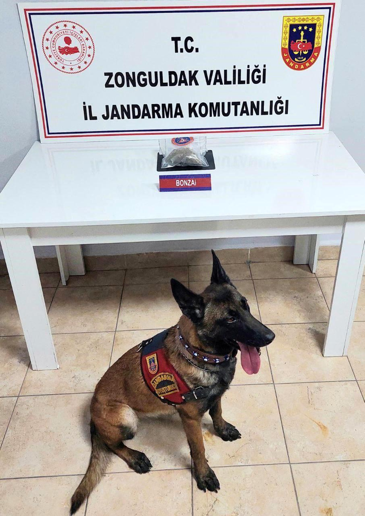 Zonguldak\'ta Uyuşturucu Operasyonunda 2 Şüpheli Tutuklandı