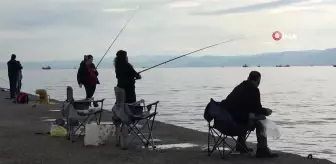 Amatör balıkçıların haftasonu mesaisi