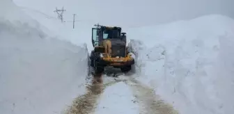 Bitlis'te 265 köy yolu kar yağışı nedeniyle kapanmıştı, çalışmalar sonucunda tekrar ulaşıma açıldı