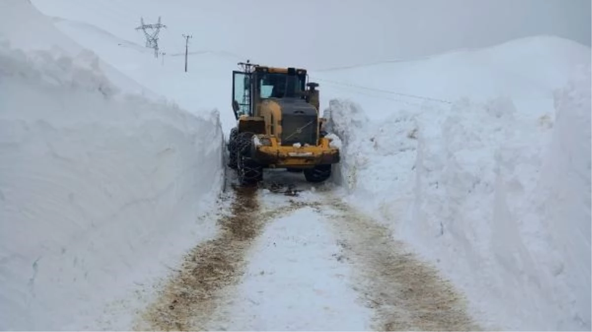 Bitlis\'te 265 köy yolu kar yağışı nedeniyle kapanmıştı, çalışmalar sonucunda tekrar ulaşıma açıldı