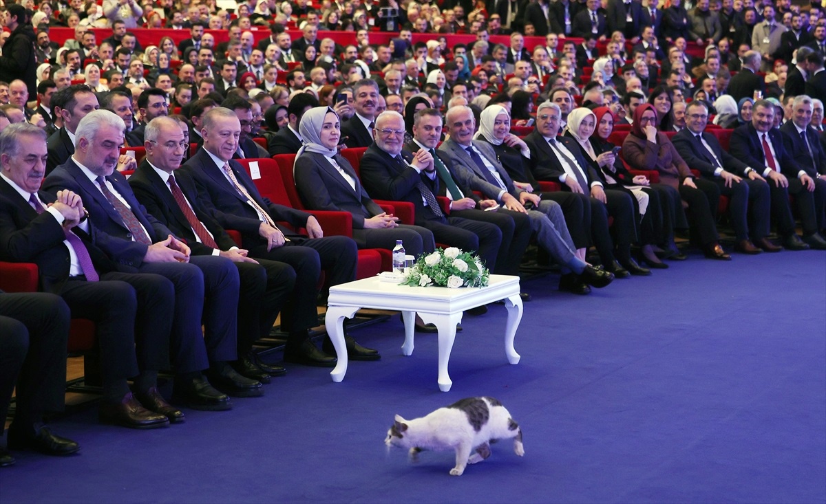 Cumhurbaşkanı Erdoğan: İstanbul 5 yılda çeyrek asırlık irtifa kaybı yaşadı