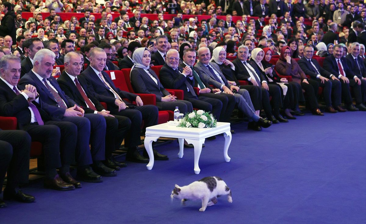 Cumhurbaşkanı Erdoğan: \'Bunların çevreden anladıkları yalnızca bu kavramın ardına sığınarak şehri yakıp yıkan çapulculara sahip çıkmaktır.\'