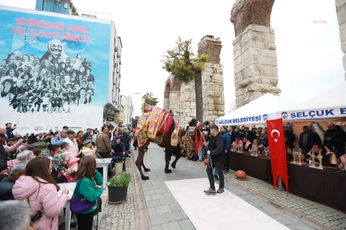 Efes Selçuk Deve Güreşleri Festivali Altın Havan En Süslü Deve Yarışması ile Başladı