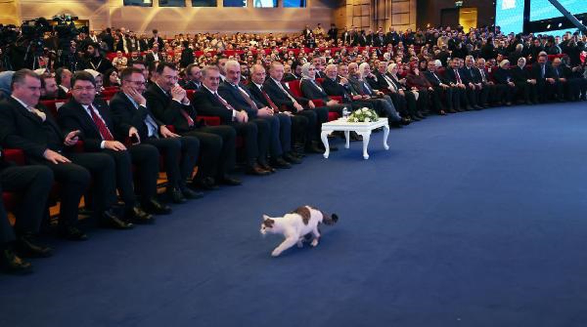 Erdoğan: İstanbul 5 yılda çeyrek asırlık irtifa kaybı yaşadı