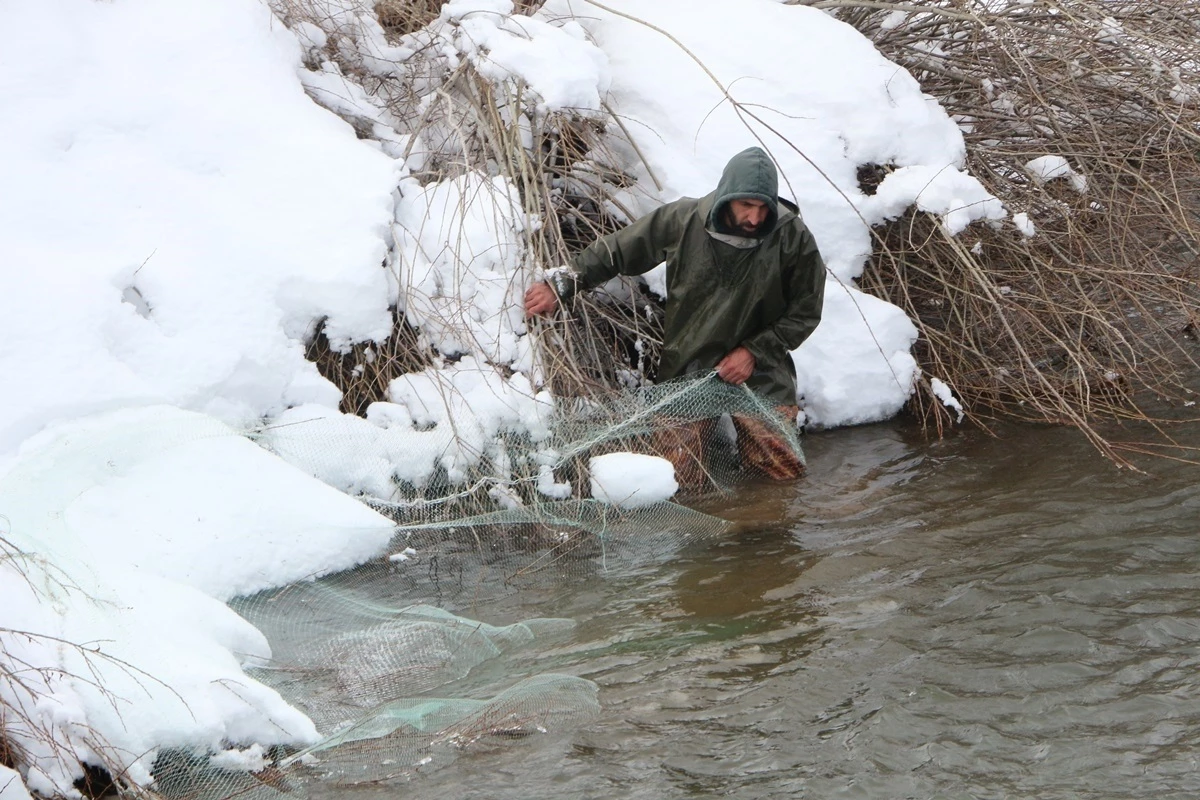 Karlıova\'da dondurucu soğukta tutulan balıklar satışa sunuluyor