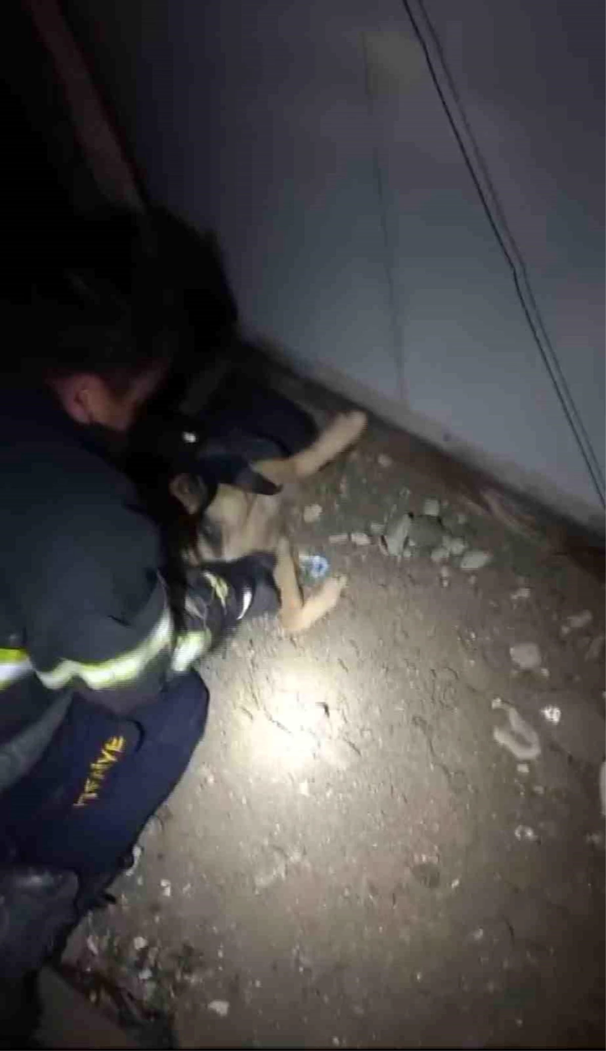 Samandağ\'da Mahsur Kalan Köpek İtfaiye Tarafından Kurtarıldı
