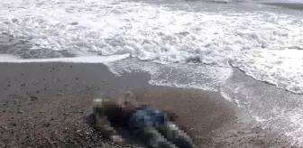 Manavgat sahilde kimliği belirsiz 2 erkek cesedi bulundu