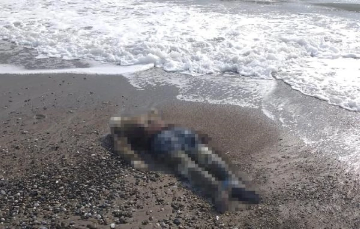 Manavgat sahilde kimliği belirsiz 2 erkek cesedi bulundu