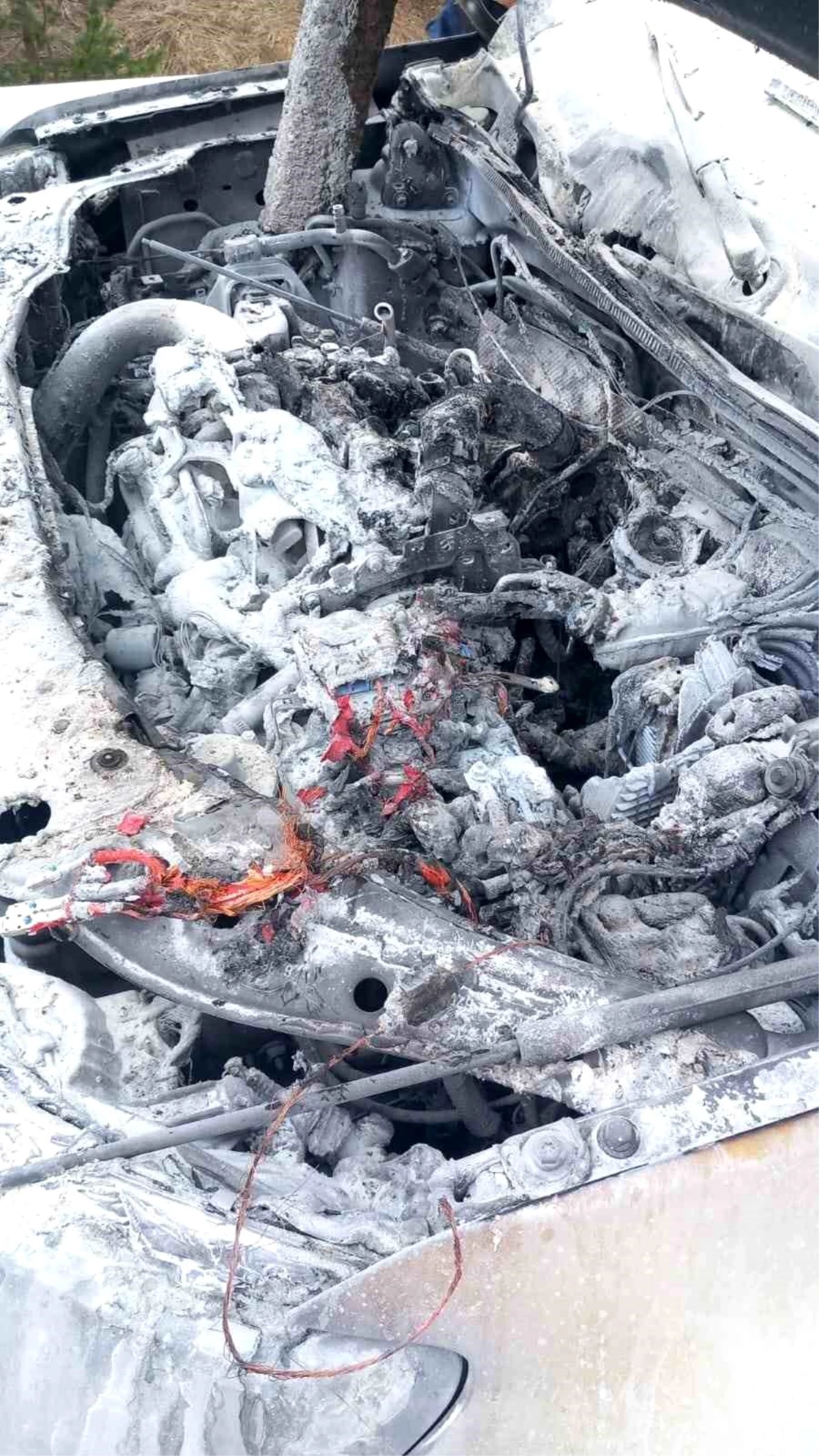 Anadolu Otoyolu\'nda Dacia marka cipin motoru alev alev yandı