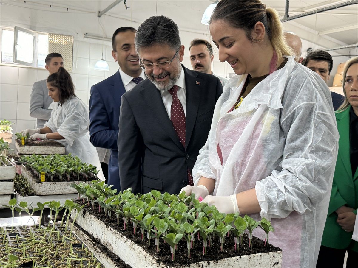 Bakan Yumaklı, Antalya\'da sebze tohumları satışı ve pazarlaması alanında faaliyet gösteren serayı inceledi