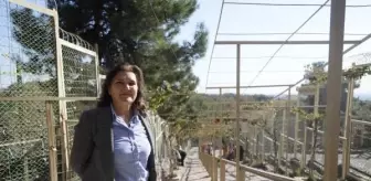 Antalya Hayvanat Bahçesi'nde Ayı Ailesi ve Kaplumbağalar Stres Yaşıyor