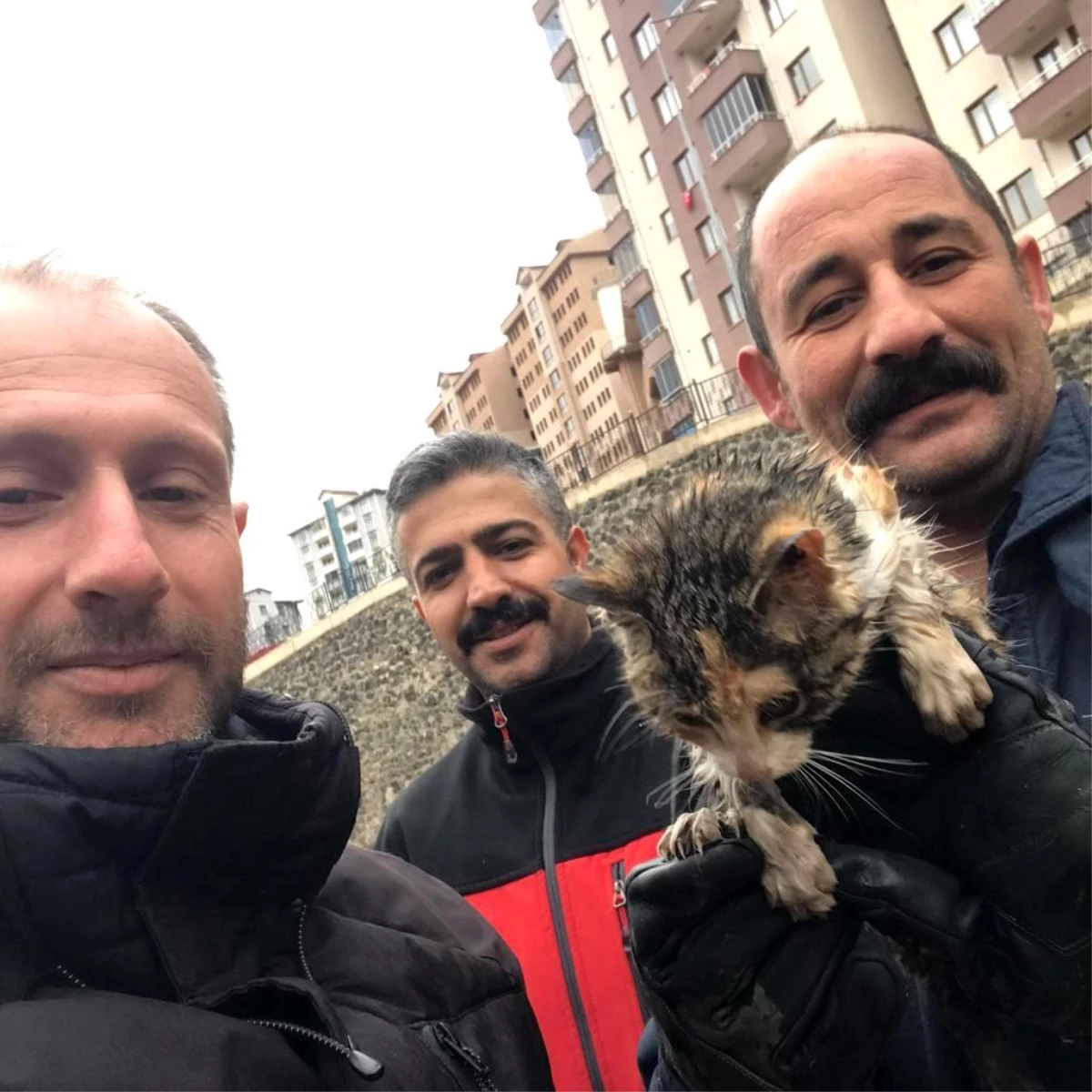 Gümüşhane\'de Harşit Çayı\'nda mahsur kalan yavru kedi itfaiye ekipleri tarafından kurtarıldı