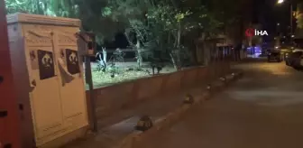 İzmir'de 'laf atma' kavgası cinayetle bitti