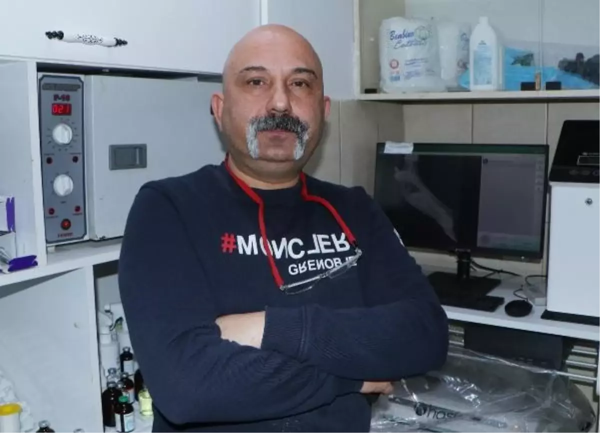 Chihuahua Köpeğin Makatındaki Tümör Ameliyatla Alındı