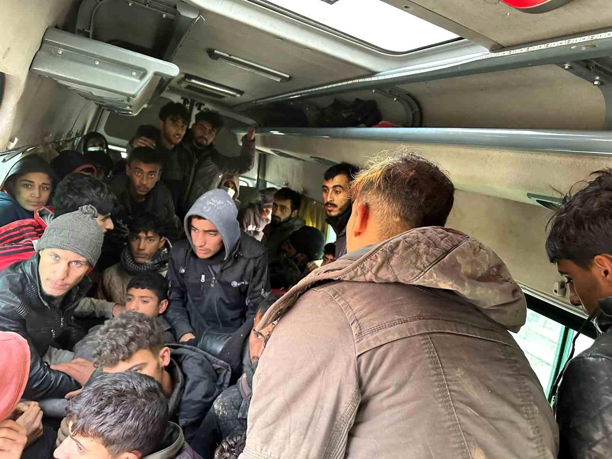 Hatay\'da 53 kaçak göçmen yakalandı, araç sürücüsü gözaltına alındı