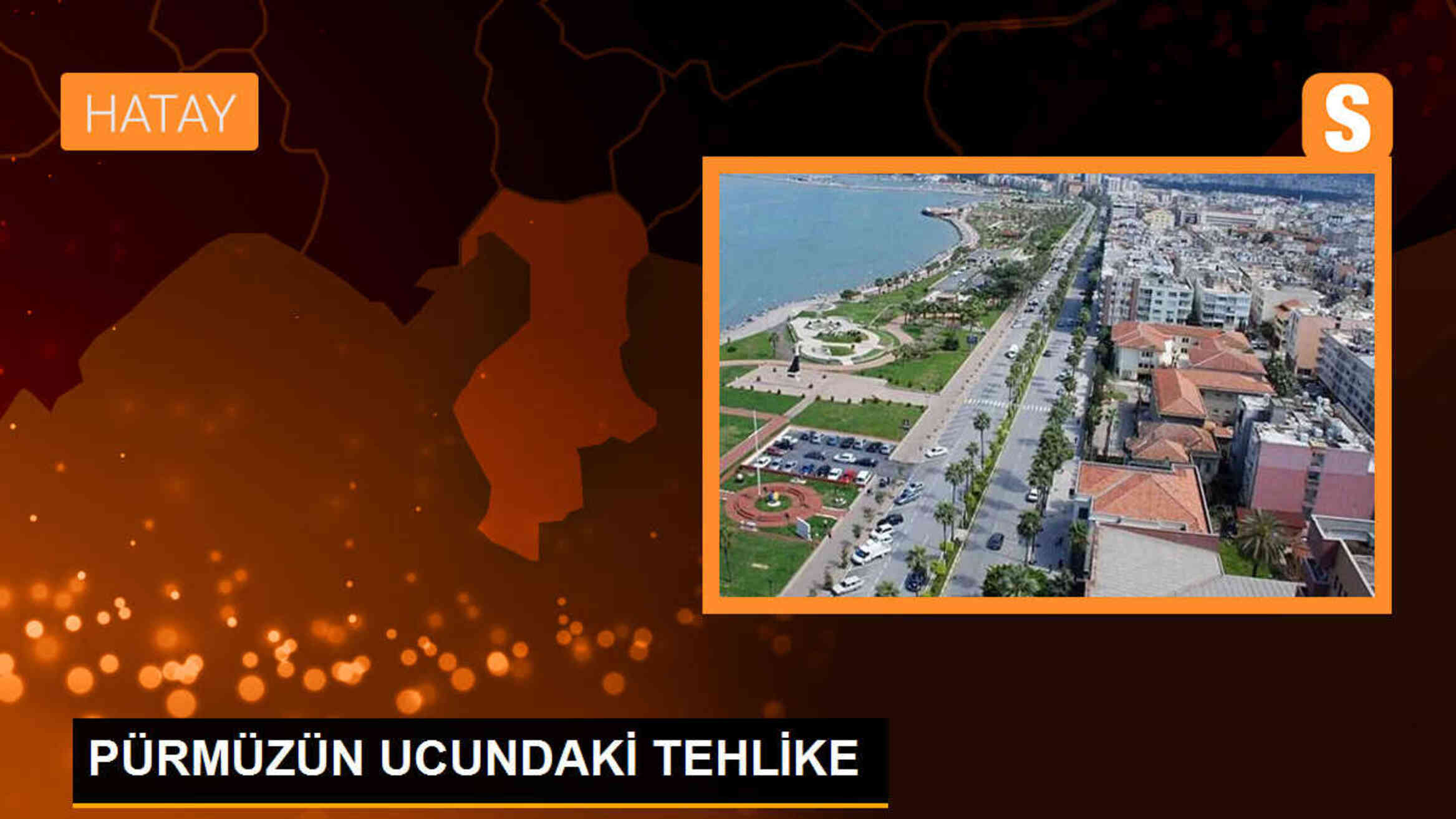 Pürmüz Kullanımı İnsan Sağlığına Zararlı Olabilir
