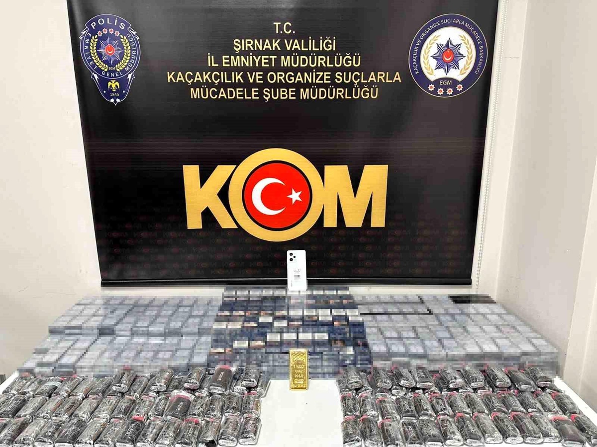 Şırnak\'ta 114 Ruhsatsız Tabanca ve 17 Uzun Namlulu Silah Ele Geçirildi