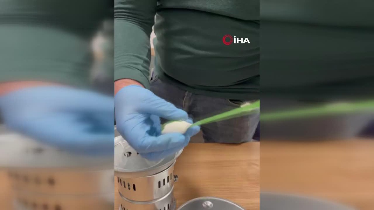 Yolcunun valizindeki ısıtıcı ve monitörün içinden uyuşturucu çıktı