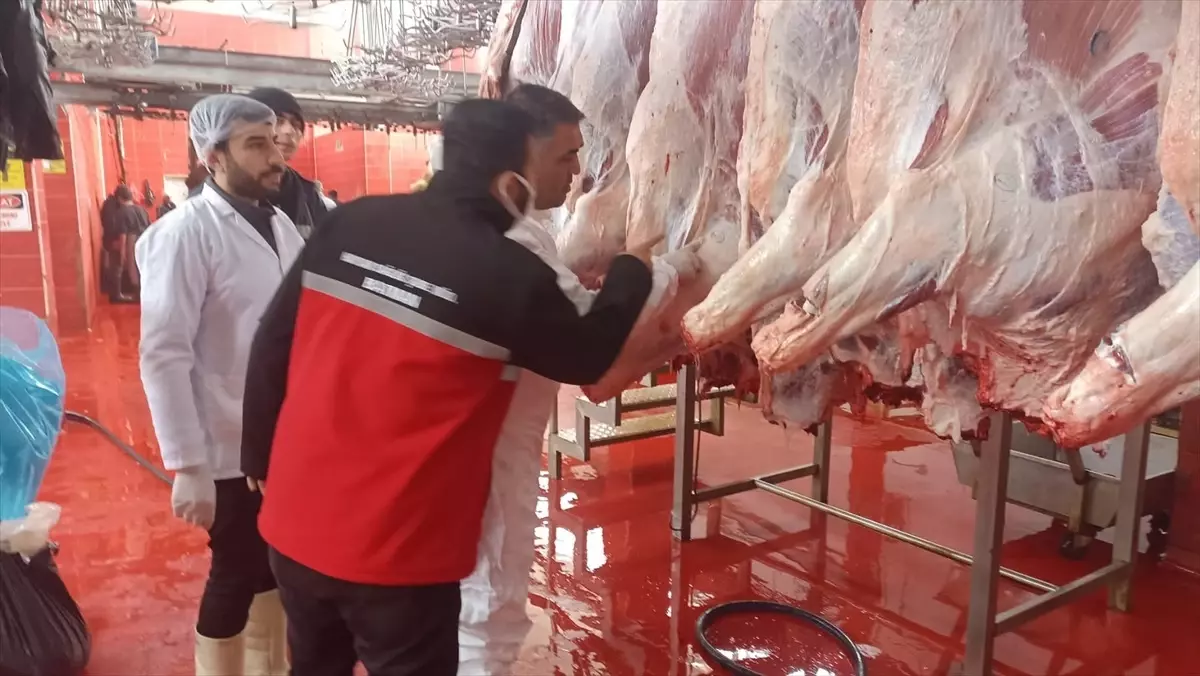 Batman'da 2 Ton 752 Kilogram Kaçak Et İmha Edildi