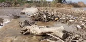 Büyük Menderes Nehri'ndeki Atıklar Tarihi Köprüyü Tehdit Ediyor