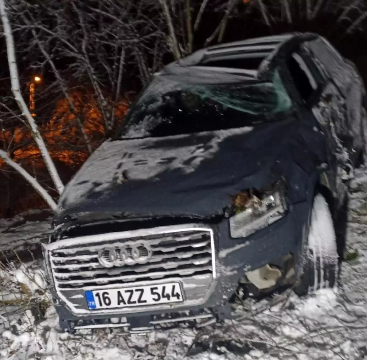 Ordu\'da buzlanma nedeniyle meydana gelen kazada sürücü hayatını kaybetti