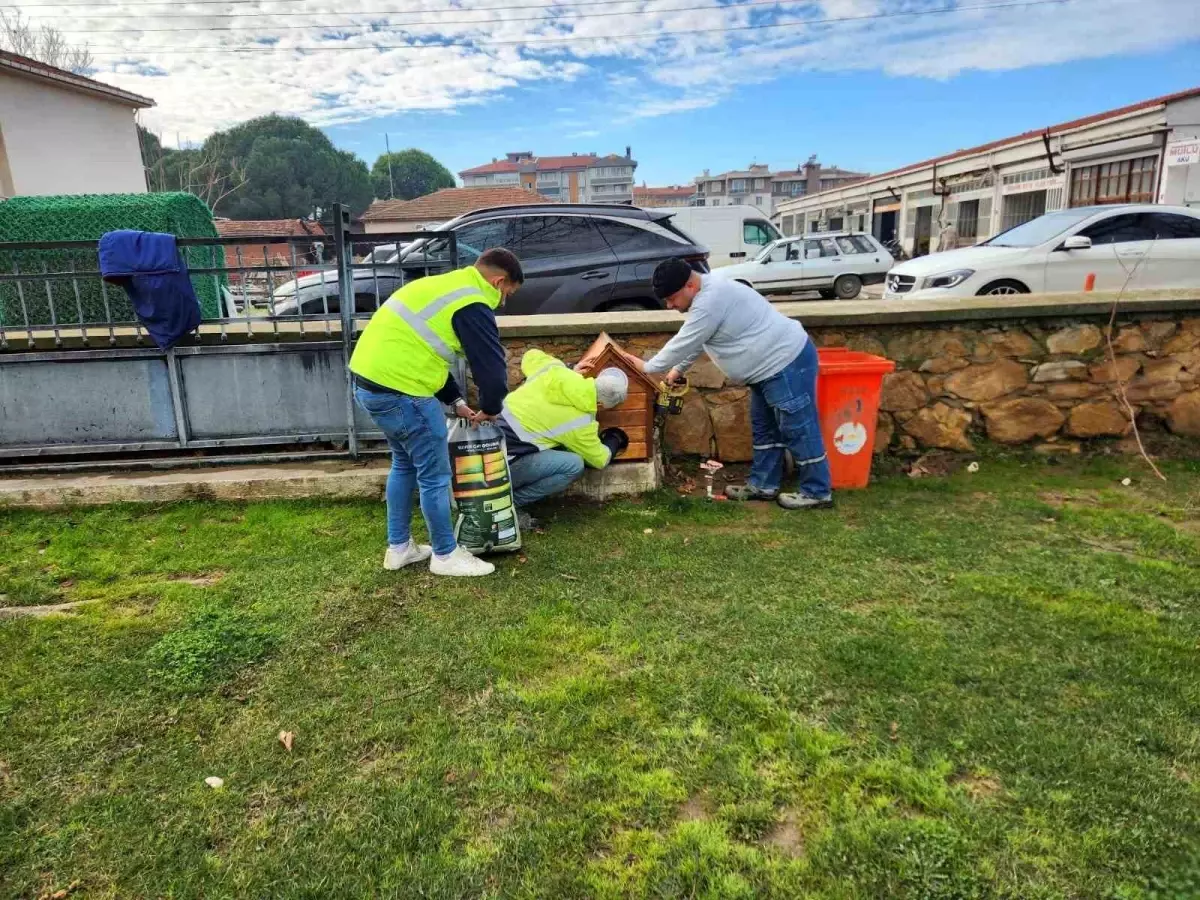 Balıkesir Gömeç Belediyesi Sokak Kedileri İçin Kedi Evleri Yerleştiriyor