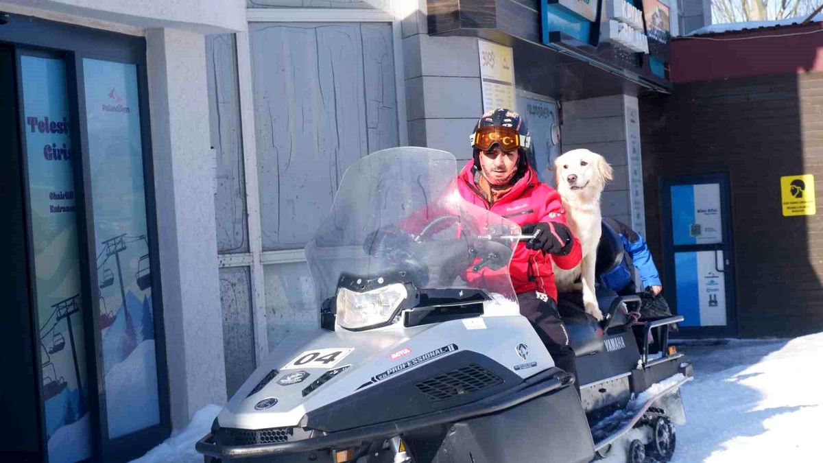 Palandöken Kayak Merkezi\'nde Arama Kurtarma Köpekleri Görev Başında