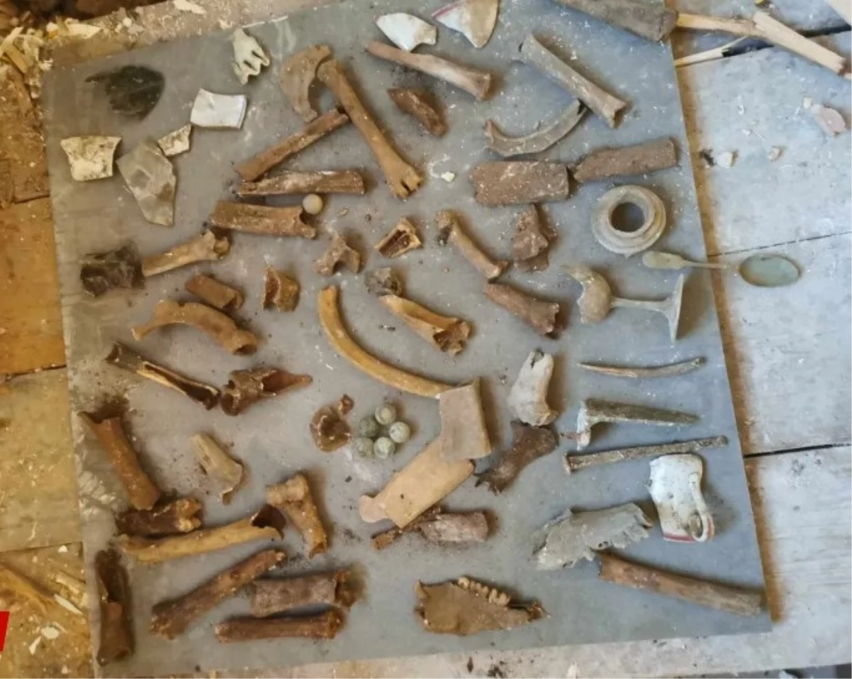 İngiltere\'de Bir Su Tesisatçısı Evde Kemikler Buldu