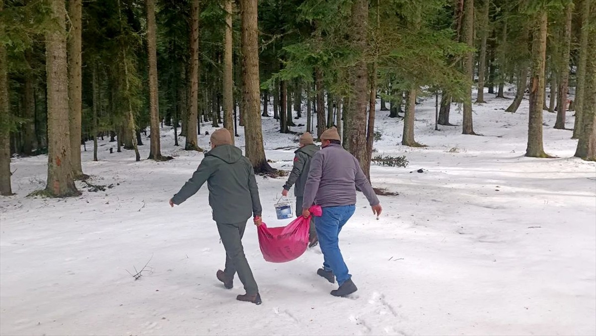 Karabük\'te olumsuz hava koşulları nedeniyle yaban hayvanları için yemleme çalışması yapıldı