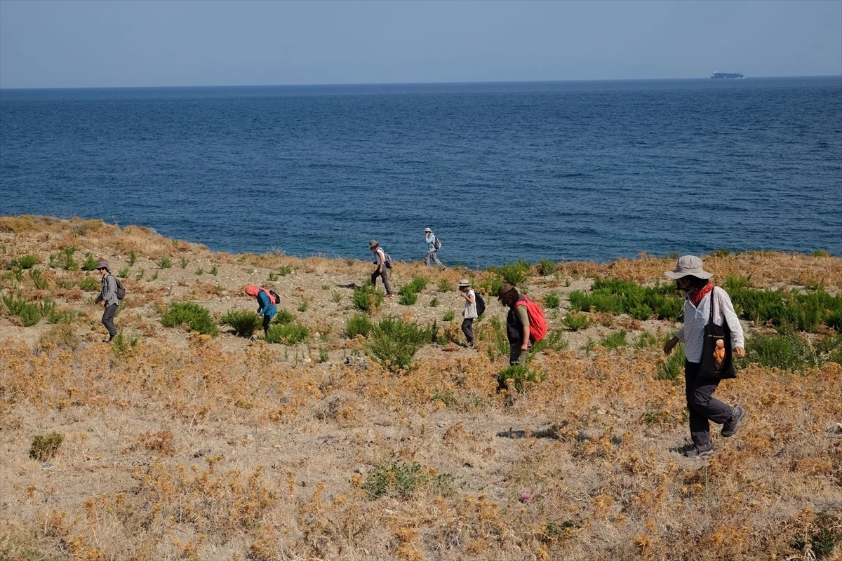 Ege Üniversitesi Arkeoloji Bölümü, Karaburun\'da 11 Bin Yıl Öncesine Ait Arkeolojik Kanıtlara Ulaştı