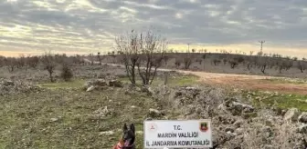 Mardin'de tuzaklanmış el yapımı patlayıcı imha edildi