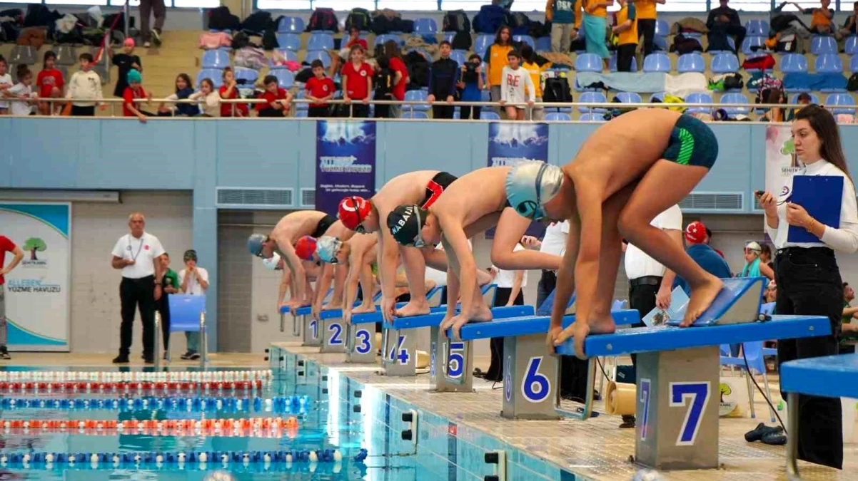 Şehitkamil Belediyesi tarafından düzenlenen yüzme yarışmaları büyük ilgi gördü