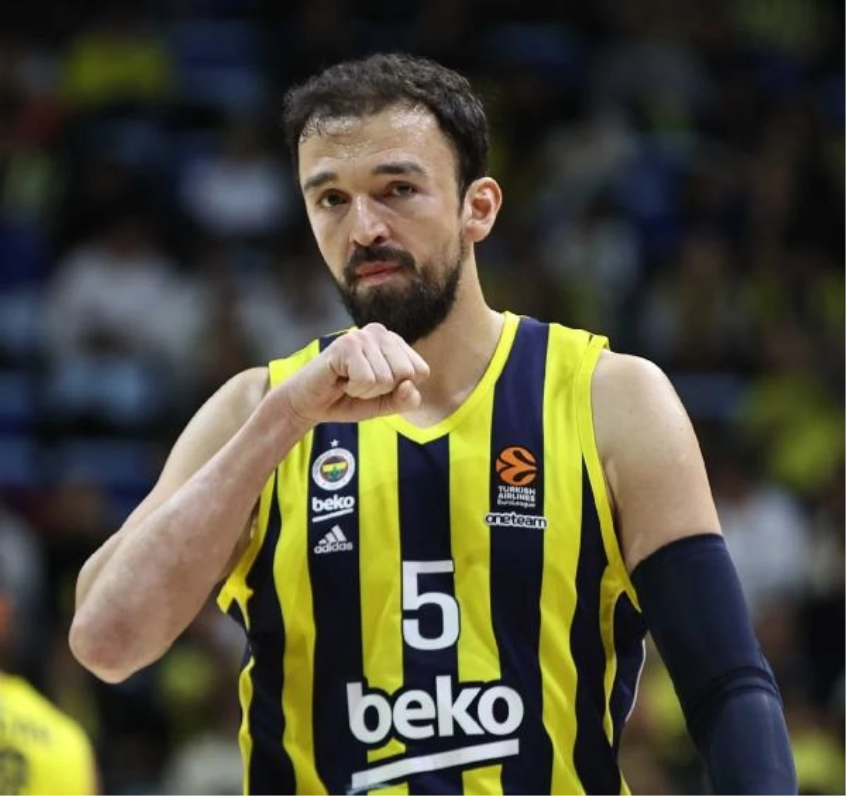 Fenerbahçe Beko, Pınar Karşıyaka\'yı mağlup etti