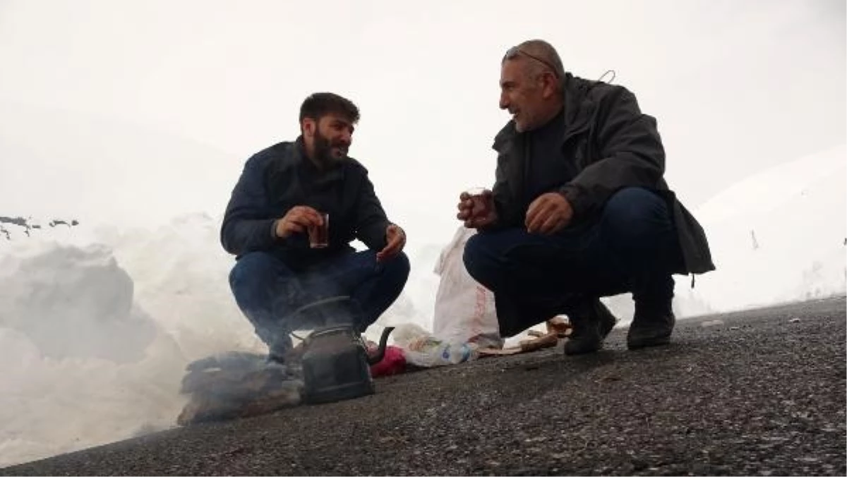 Hakkari\'de besiciler kar yağışı nedeniyle hayvanlarını otlarla besliyor