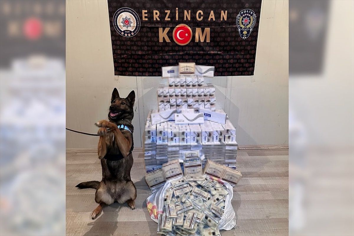 Erzincan\'da Kaçakçılık Operasyonu: 1 Şüpheli Gözaltına Alındı
